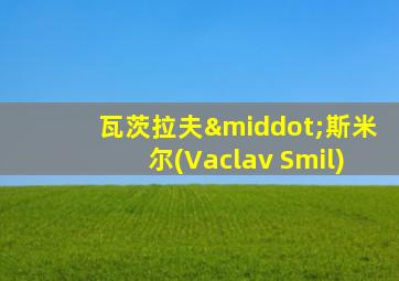 瓦茨拉夫·斯米尔(Vaclav Smil)